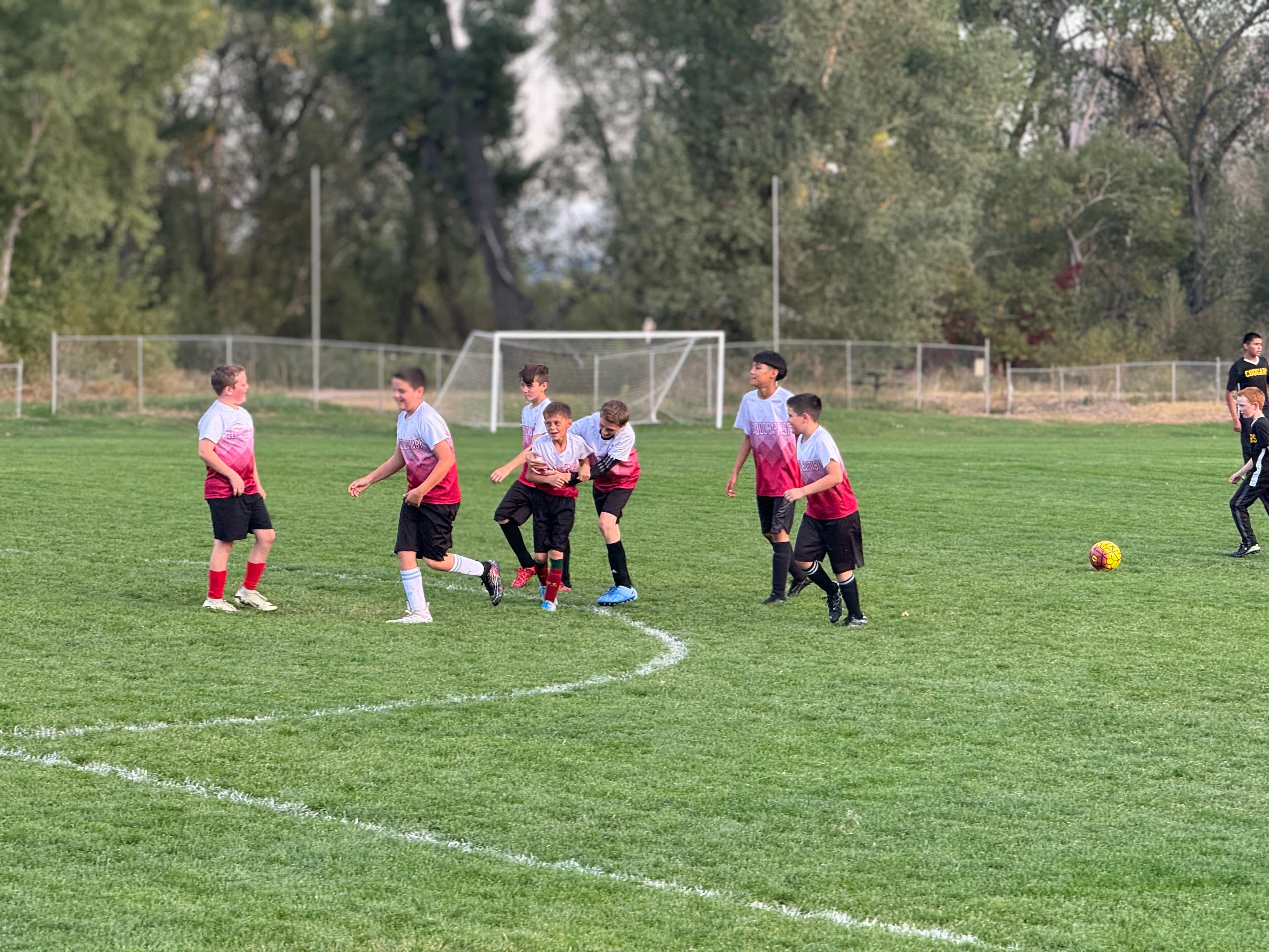 Elmwood Eagles boys soccer team